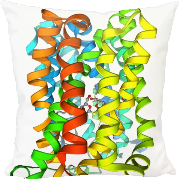 Lactose transporter protein molecule F006  /  9466