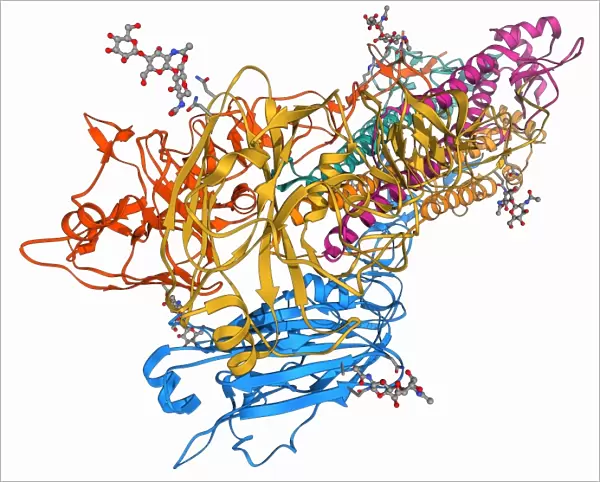 H5N1 Haemagglutinin protein subunit F006  /  9590