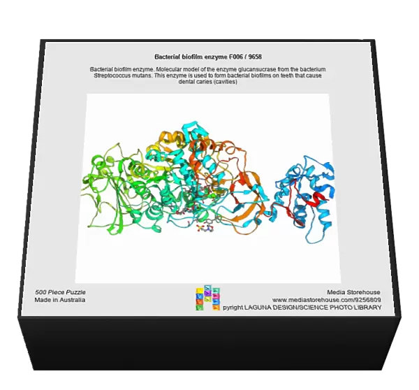 Bacterial biofilm enzyme F006  /  9658