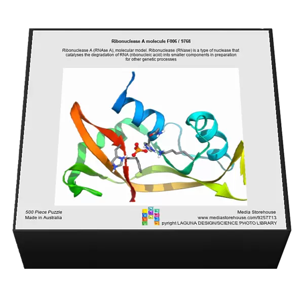 Ribonuclease A molecule F006  /  9768