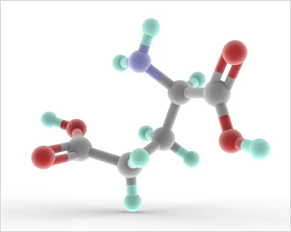 Glutamic acid molecule