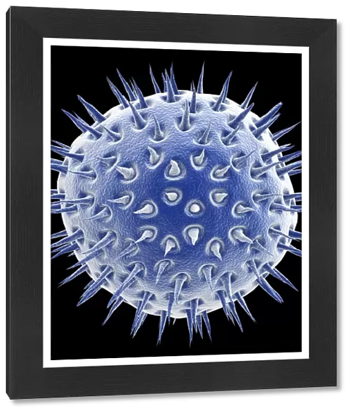 Virus, artwork F005  /  4881