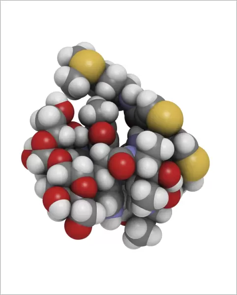 Bleomycin drug molecule F005  /  6675
