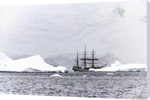 Sailing ship Europa in Antarctica F008  /  3653