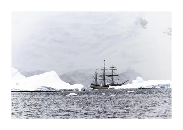 Sailing ship Europa in Antarctica F008  /  3653