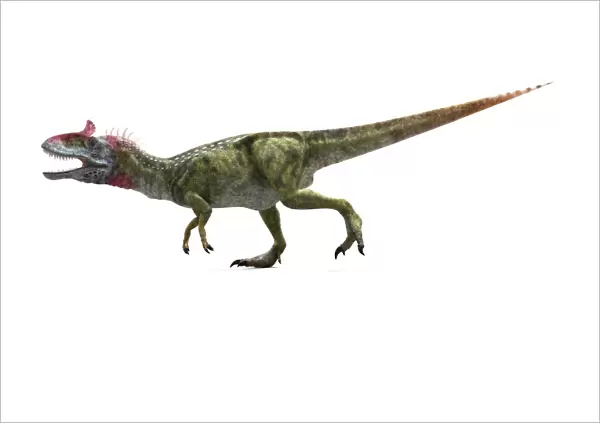 Cryolophosaurus dinosaur, artwork F007  /  6869