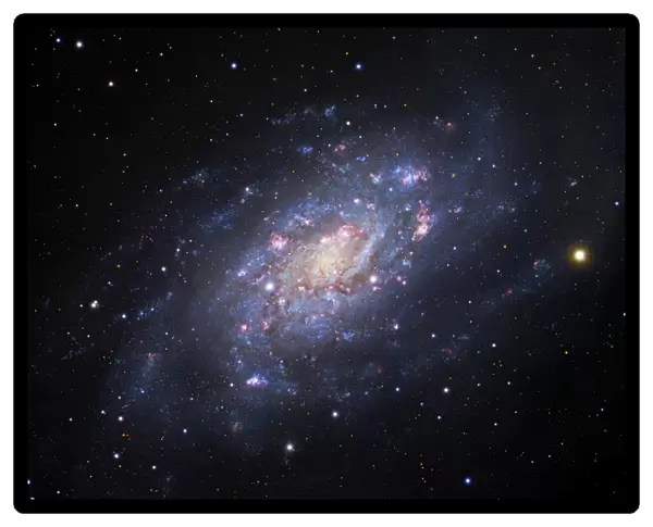 Spiral galaxy NGC 2403, optical image C017  /  3738