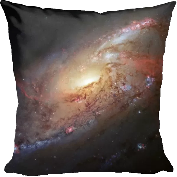 Spiral galaxy M106, Hubble image C017  /  3730