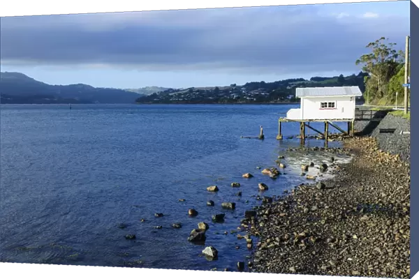 Little fishing cottage on a rocky beach, Otago Peninsula, Otago, South Island, New Zealand, Pacific