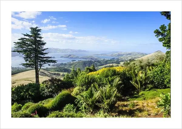 View from Larnach Castle over the Otago Peninsula, South Island, New Zealand, Pacific