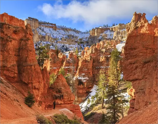 Hiker takes a break on the Peekaboo Loop Trail in winter, with snowy red rocks and cliffs, Bryce Canyon National Park, Utah, United States of America, North America
