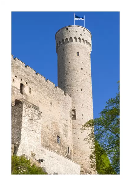 The Pikk Hermann Tower, part of the Toompea Castle, UNESCO World Heritage Site, Tallinn, Estonia, Baltic States, Europe