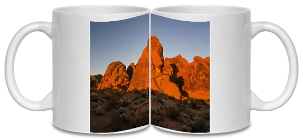 Redrock Sandstone formations at sunrise in the Valley of Fire State Park, Nevada, United States of America, North America