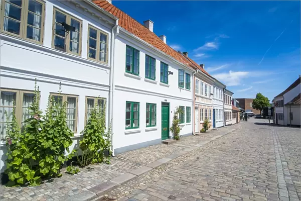 Old precinct of Odense, Funen, Denmark, Scandinavia, Europe