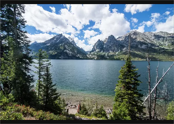 Jenny Lake in front of the Teton range in the Grand Teton National Park, Wyoming, United States of America, North America