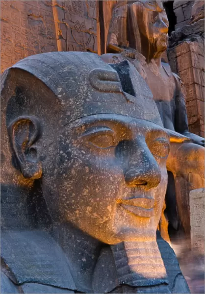 Statue in the ancient Egyptian Luxor Temple at night, Luxor, Thebes, UNESCO World Heritage Site, Egypt, North Africa, Africa
