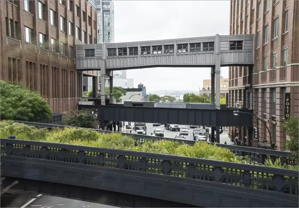 High Line public park, Meatpacking District, New York City, New York, United States of America, North America
