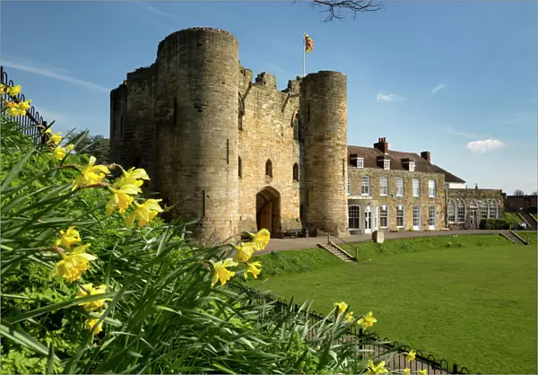 Tonbridge Castle with daffodils, Tonbridge, Kent, England, United Kingdom, Europe