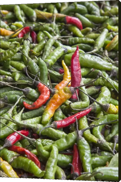 Hot peppers of various color used as food in Indian cuisine considered one of the