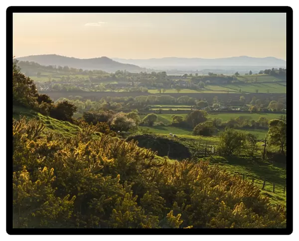 Cotswold landscape with view to Malvern Hills, near Winchcombe, Cotswolds, Gloucestershire