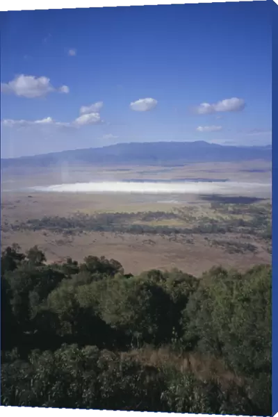 Wildlife, mossy trees, clouds and salt lake, Ngorongoro Crater, Ngorongoro Conservation Area
