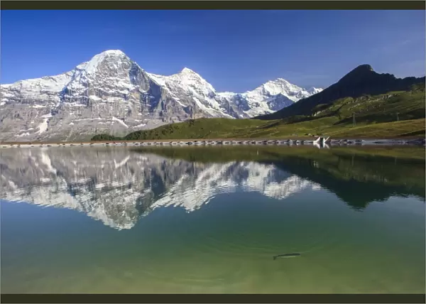 Mount Eiger reflected in clear waters of a lake, Mannlichen, Grindelwald, Bernese Oberland