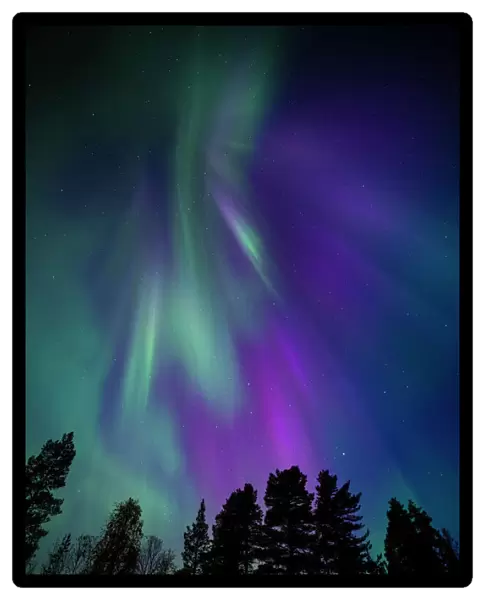 Aurora borealis, corona, Muonio, Finland, Scandinavia, Europe