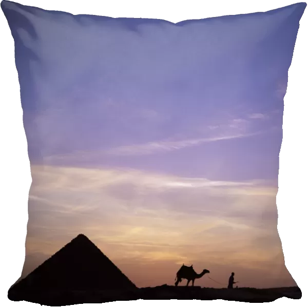 Camel and pyramid in silhouette, Giza, near Cairo, Egypt, North Africa, Africa