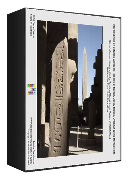 Hieroglyphics on columns within the Temples of Karnak, Luxor, Thebes, UNESCO World Heritage Site