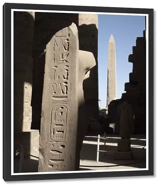Hieroglyphics on columns within the Temples of Karnak, Luxor, Thebes, UNESCO World Heritage Site