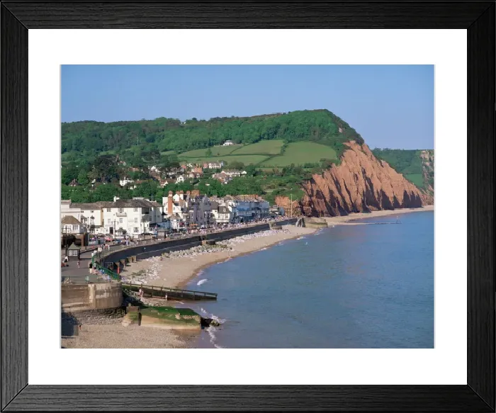 Framed Print : Sidmouth Print - A View of the Devon Coast Framed Print : Sidmouth Print - A View of the Devon Coast