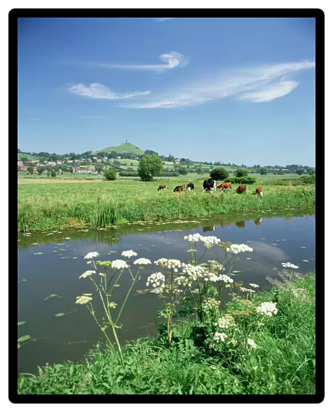 River Brue with Glastonbury Tor in the distance, Somerset, England, United Kingdom
