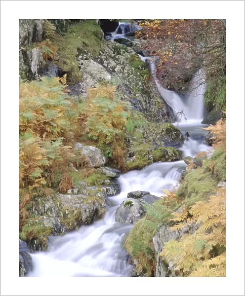 Stream tumbling over rocks, Lake District, Cumbria, England, UK, Europe