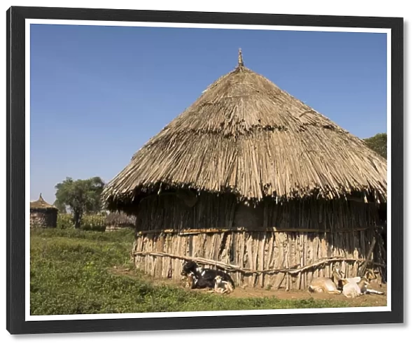 Oromo village near Langano lake, Rift Valley, Ethiopia, Africa