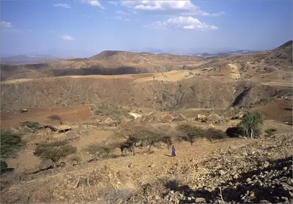 Terari Wenz region, Wollo province, Ethiopia, Africa