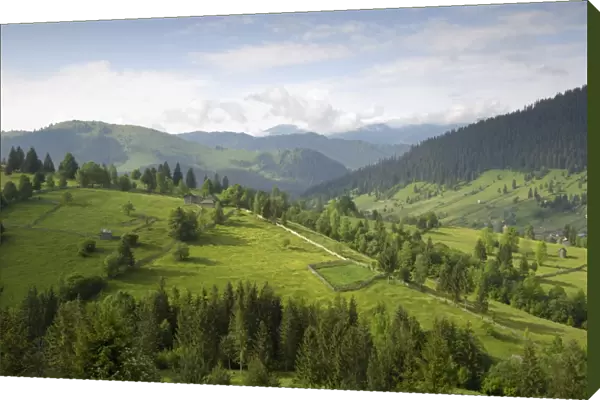Carpathian mountains north of Campulung Moldovenesc, Moldavia, Southern Bucovina