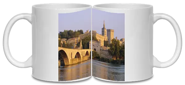 Pont St. Benezet bridge and Papal Palace, Avignon, Provence, France, Europe