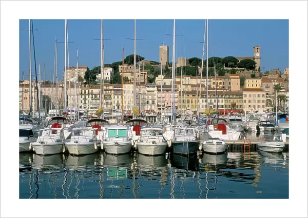 Port, Saint-Pierre quay and Le Suquet, Cannes, Alpes Maritimes, Provence