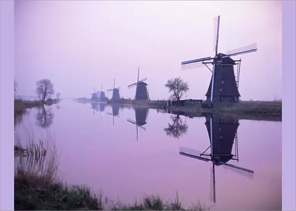 Windmills in early morning mist