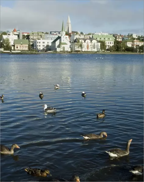 Tjornin (City Pond)