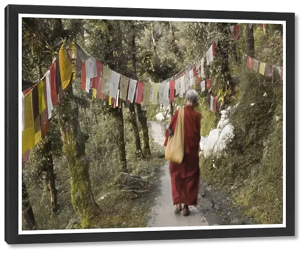 Buddhist monk walking down path
