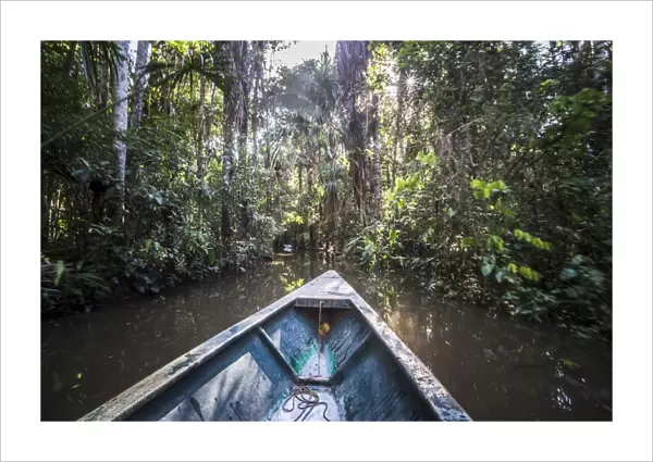 Canoe boat trip in Amazon Jungle of Peru, by Sandoval Lake in Tambopata National Reserve