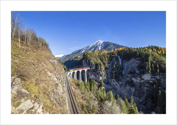 Bernina Express passes over the Landwasser Viadukt surrounded by colorful woods