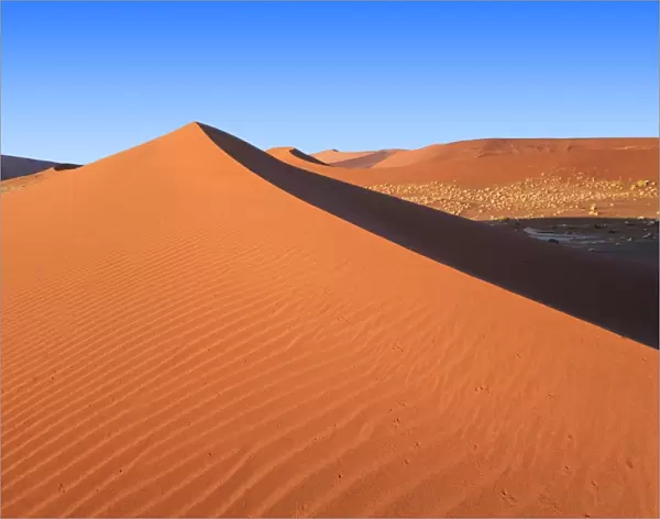 Shadow and light among the sand dunes shaped by wind, Deadvlei, Sossusvlei, Namib Desert