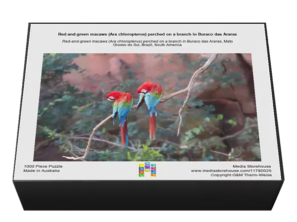 Red-and-green macaws (Ara chloropterus) perched on a branch in Buraco das Araras