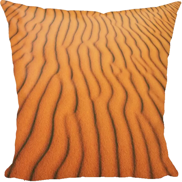Patterns in sand dunes in Erg Chebbi sand sea