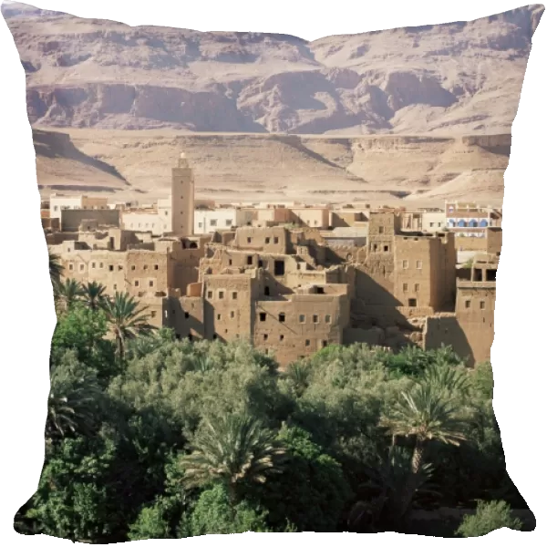 Kasbahs in the Draa Valley