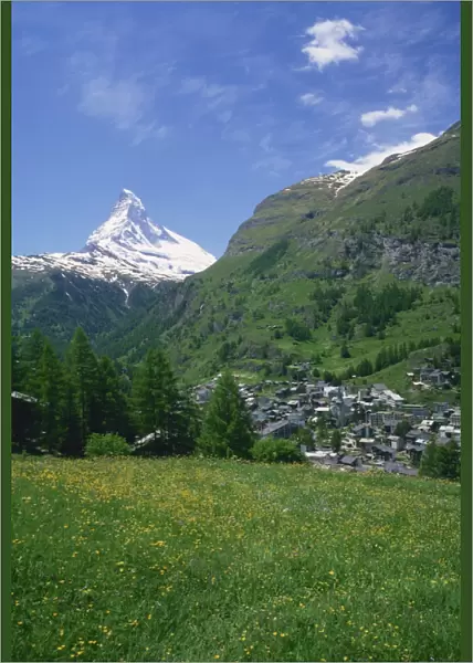 Wild flowers in a meadow with the town of Zermatt and