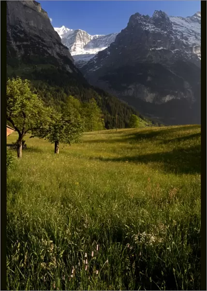 Meadows and mountains