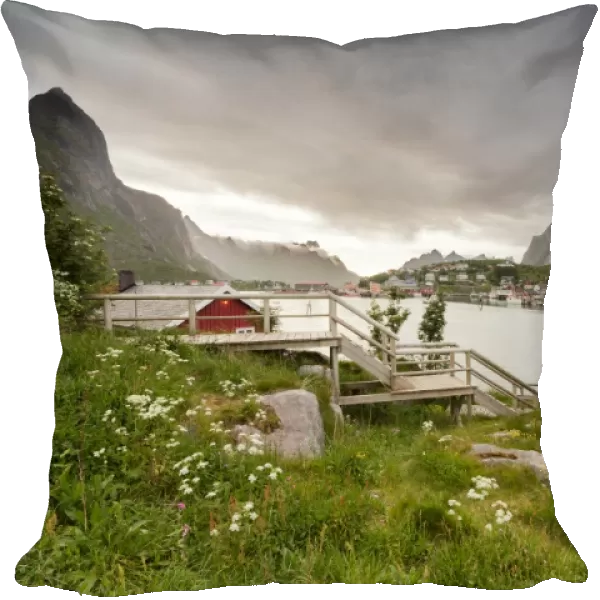 Green grass and flowers frame the typical Rorbu surrounded by sea, Reine, Nordland county